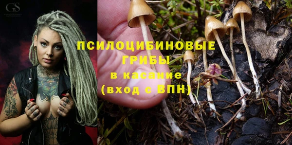 шишки Красноперекопск