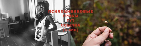 шишки Красноперекопск