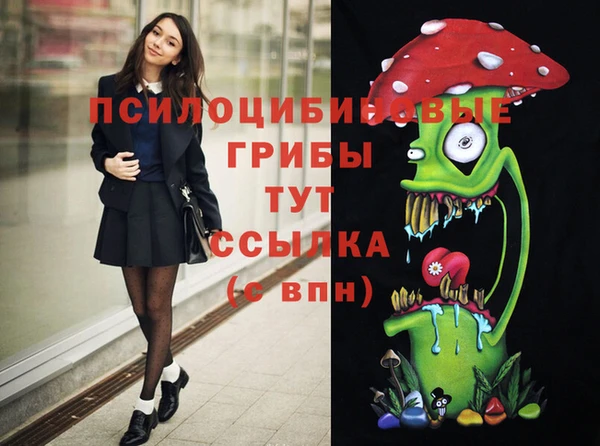 шишки Красноперекопск