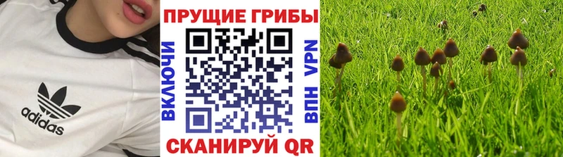 Псилоцибиновые грибы мухоморы  Купить  Полевской 